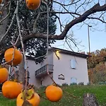 Holiday home Tana Della Lavanda Montefiorino