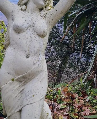 Tatil Evi Tana Della Lavanda