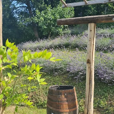 Tana Della Lavanda