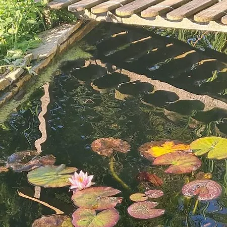 Σπίτι διακοπών Tana Della Lavanda *