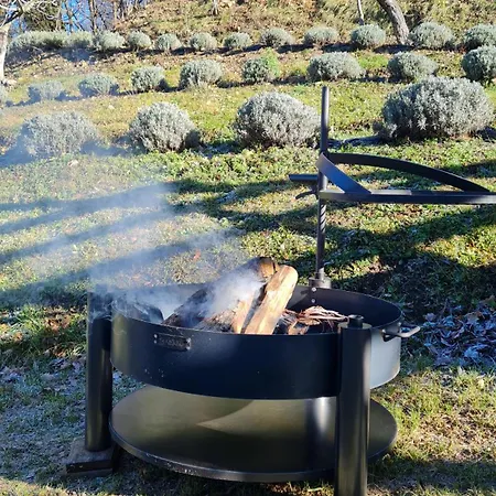 Dom wakacyjny Tana Della Lavanda Montefiorino