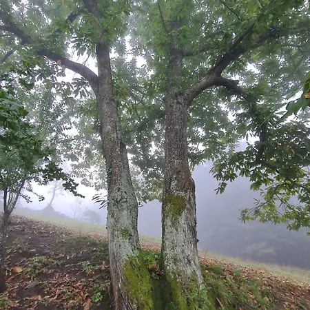 Σπίτι διακοπών Tana Della Lavanda