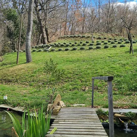 Tana Della Lavanda Dom wakacyjny Montefiorino