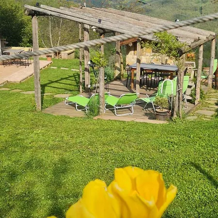 Tana Della Lavanda Montefiorino