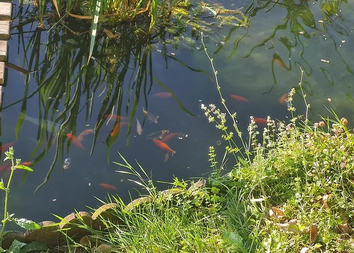 Tana Della Lavanda Vakantiehuis Montefiorino