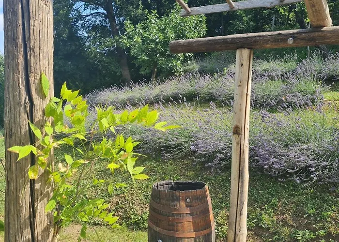 Tana Della Lavanda
