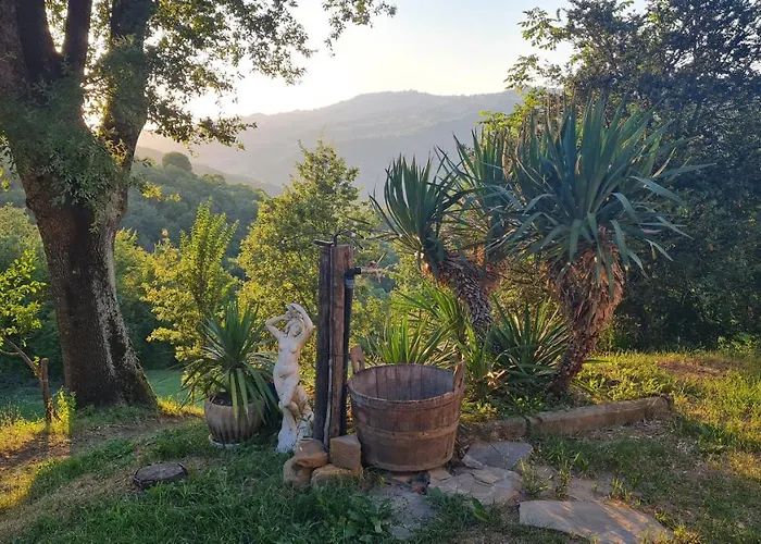 Tana Della Lavanda Feriehus Montefiorino