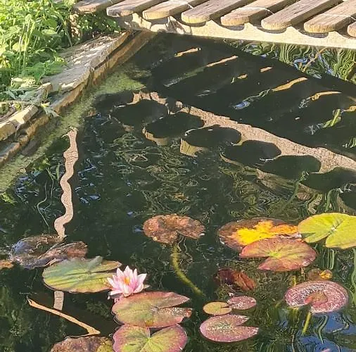 Vakantiehuis Tana Della Lavanda *