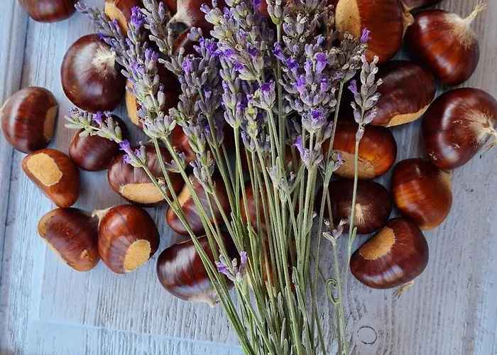 Tana Della Lavanda Σπίτι διακοπών